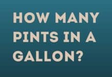 How Many Pints in a Gallon