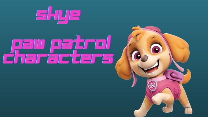 most loved paw patrol characters