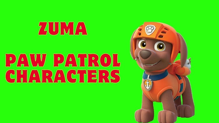 paw patrol characters