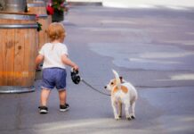 Pets Can Be Beneficial for Children