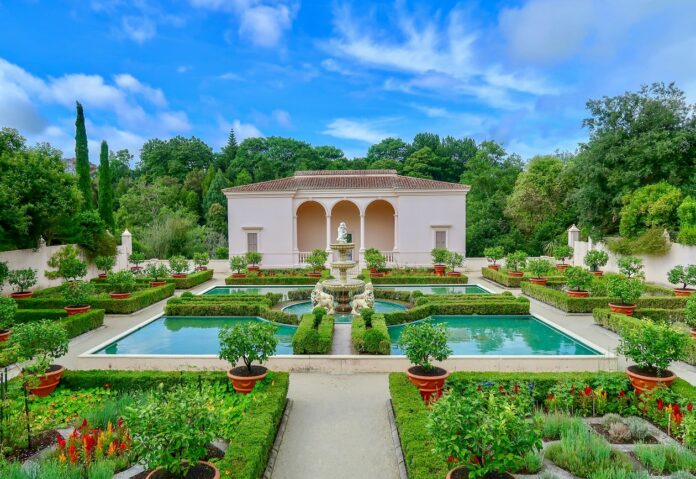 Dream Garden Dream Garden