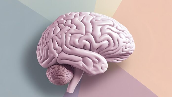 Somatosensory Cortex