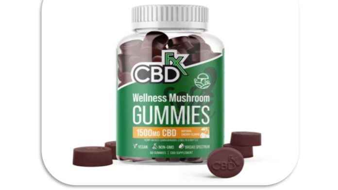 CBD Mushroom Gummies