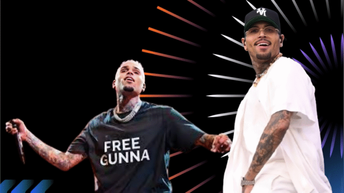 Chris Brown Net Worth Chris Brown Net Worth