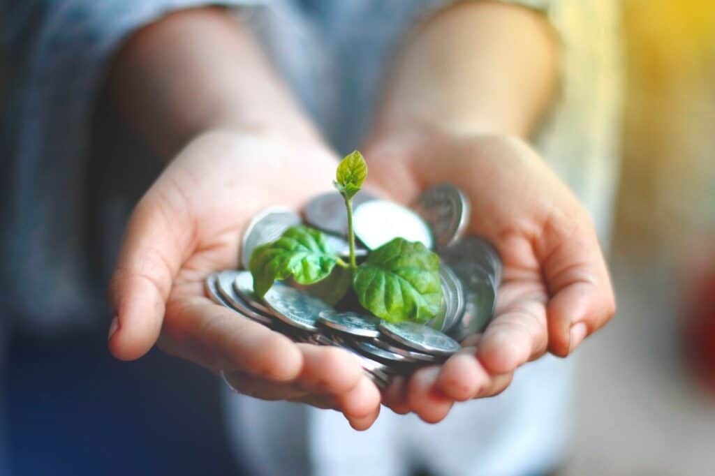 wealth management